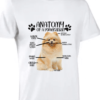 Anatomy of a Pomeranian - Image 2