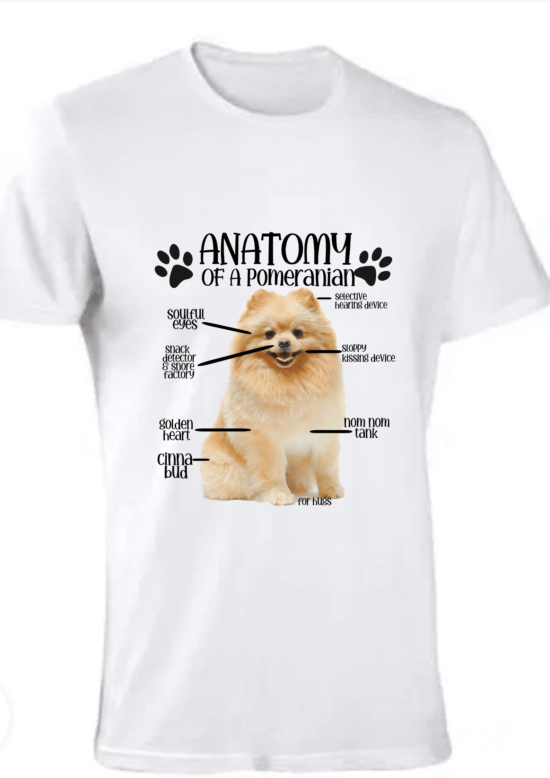 Anatomy of a Pomeranian