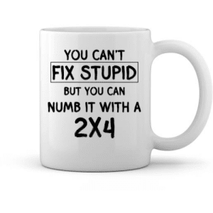 You Can’t Fix Stupid – Funny 2x4 Sarcasm Gift